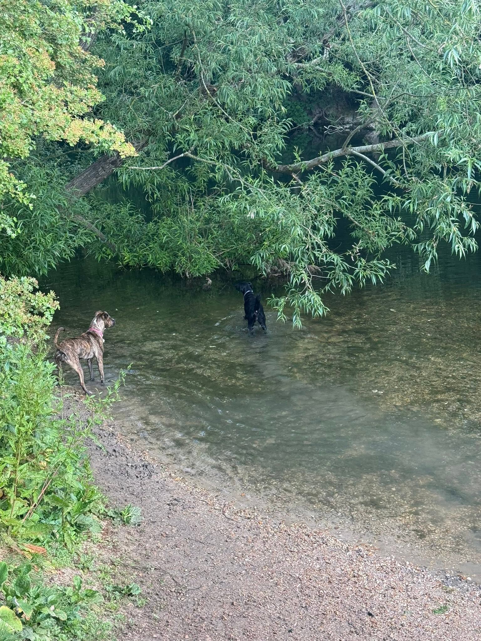Solo & small group walks