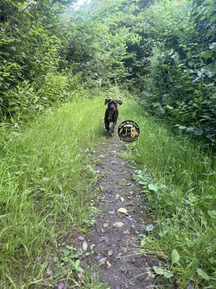 About Mums Muddy Paws